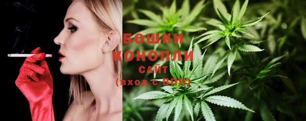 твердый Козловка
