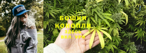 ALPHA PVP Кодинск