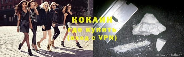 твердый Козловка