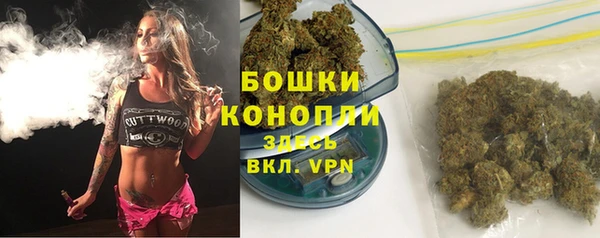 твердый Козловка