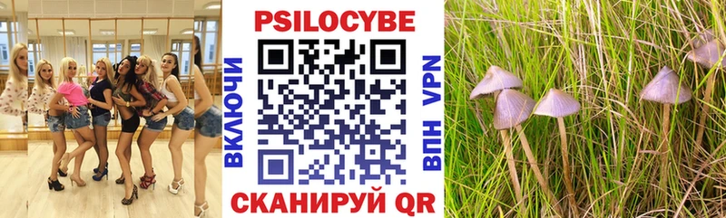 Купить где  Заринск  Псилоцибиновые грибы прущие грибы 